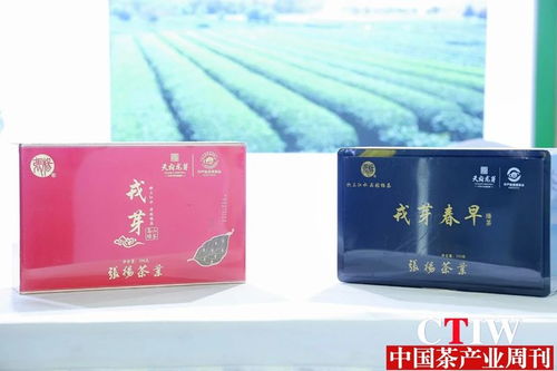 聚焦茶博會 第12屆四川國際茶博會品香茗賞雅器如火如荼