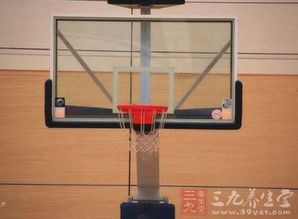 籃球用品選購常識 籃球篇